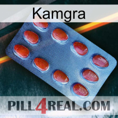 Kamgra 06